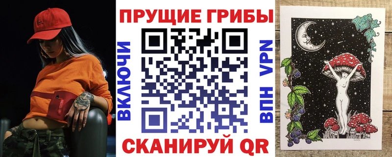 Купить  Короча  Псилоцибиновые грибы прущие грибы 