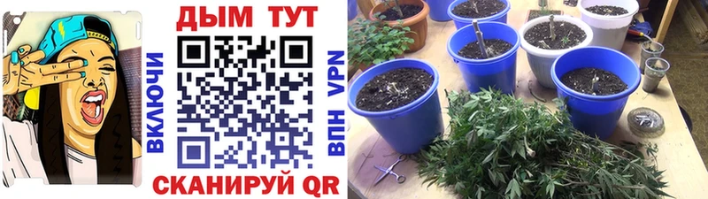 Конопля LSD WEED  Купить  Короча 